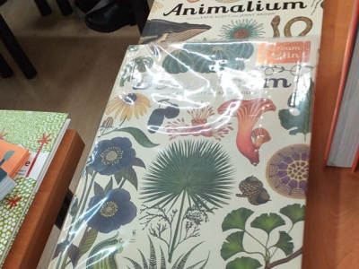 Gramy w zielone! - warsztaty ekologiczne dla bibliotekarzy i pedagogów - zdjęcie5