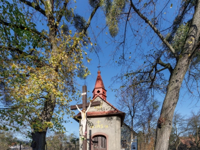 Projekt czeski 