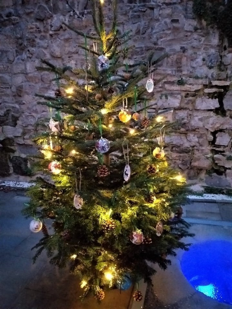 Akcja mikołajkowa w Wypożyczalni dla Dorosłych!